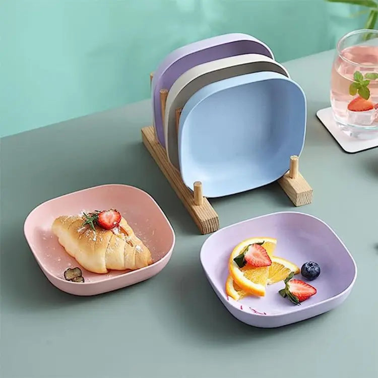 10pcs Premium Plates Set With Holder